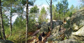 escalade a fontainebleau