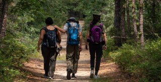 randonnee fontainebleau