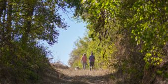 randonnee fontainebleau