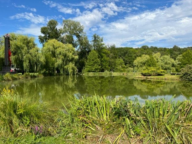 camping nature fontainebleau