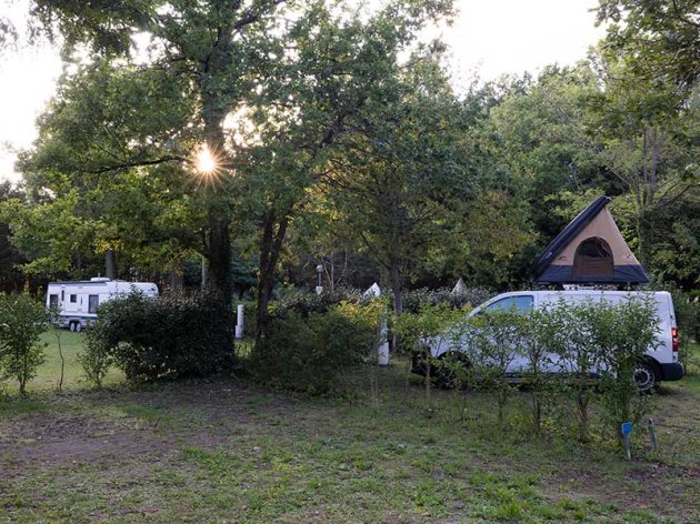 camping emplacement fontainebleau