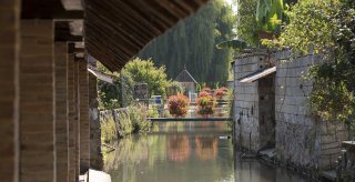 flagy (c)isabelle tabeillon