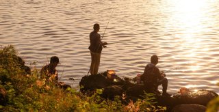 spots peche seine et marne