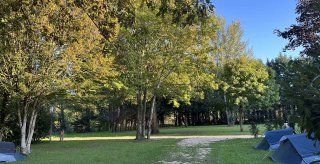 camping chien admis seine et marne