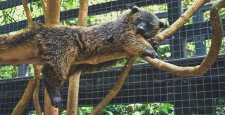 une sortie familiale au parc hi han 1