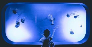 aquarium en seine et marne