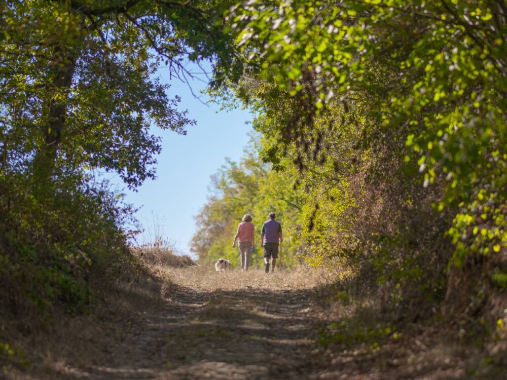 Camping à proximité Provins