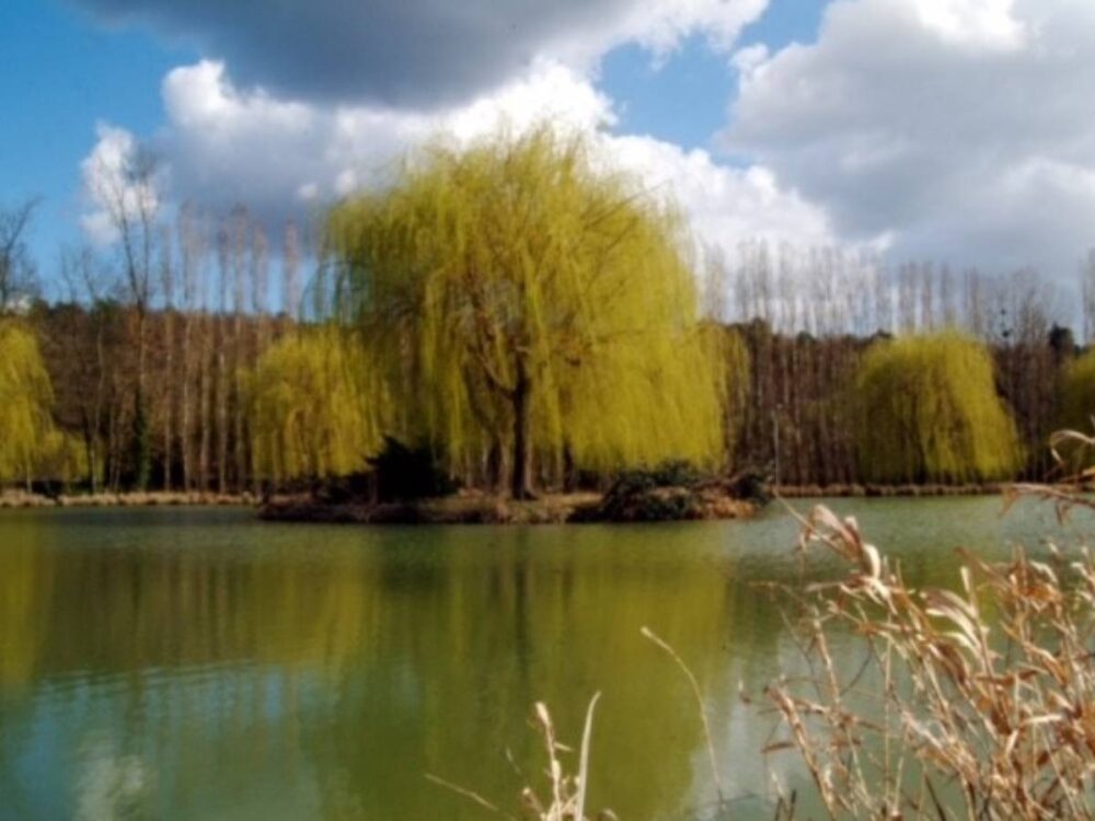 Visiter la Seine et Marne etang