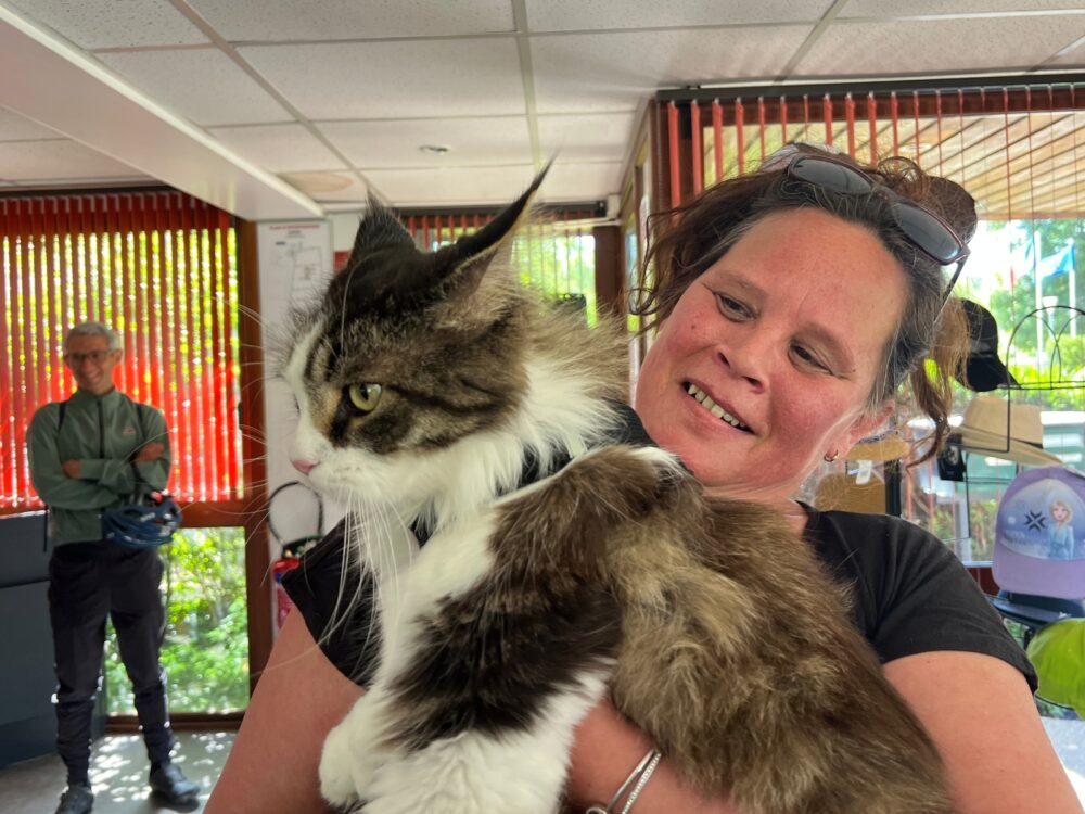 camping animaux accepté