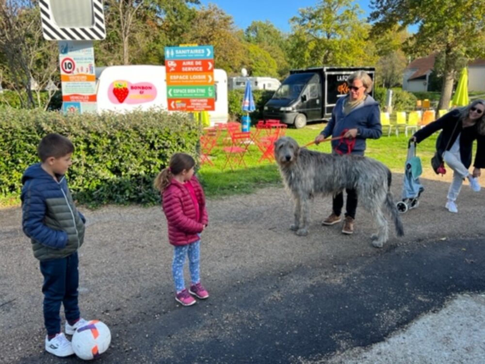 camping chien accepté