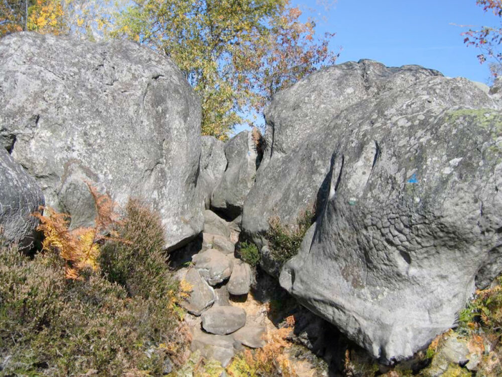 escalade-debutant-fontainebleau