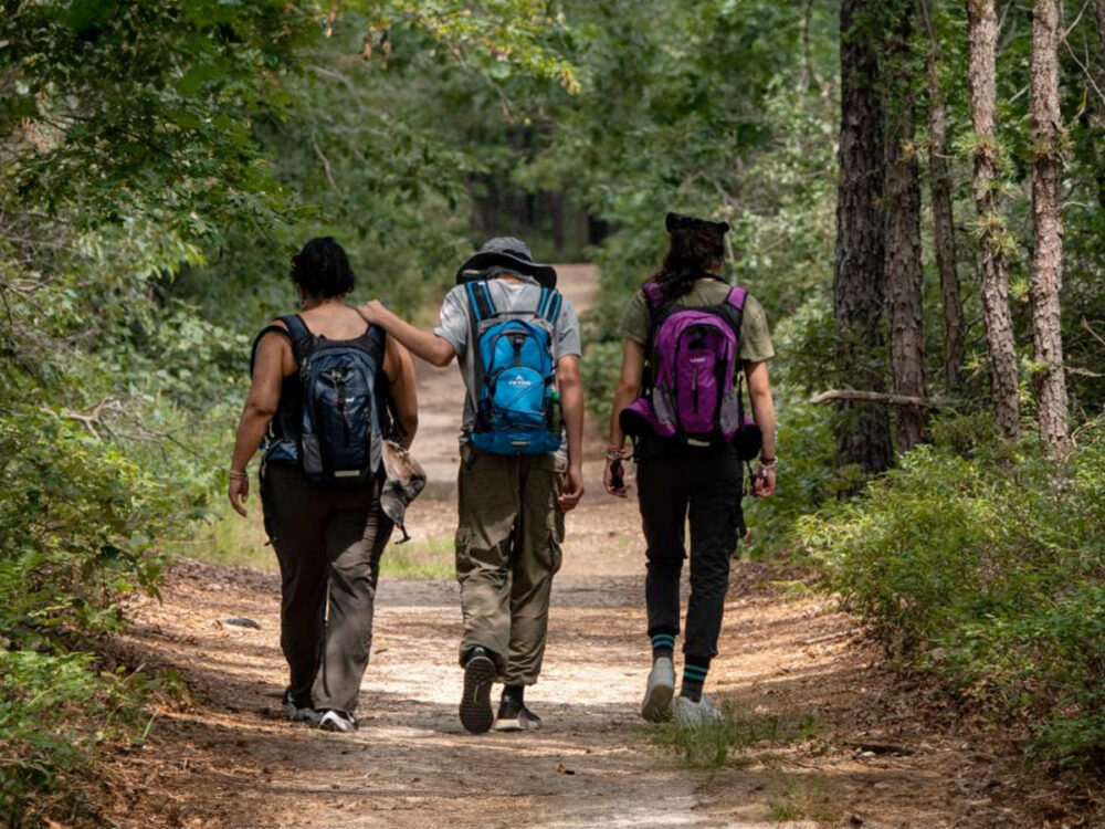 randonnee-a-fontainebleau