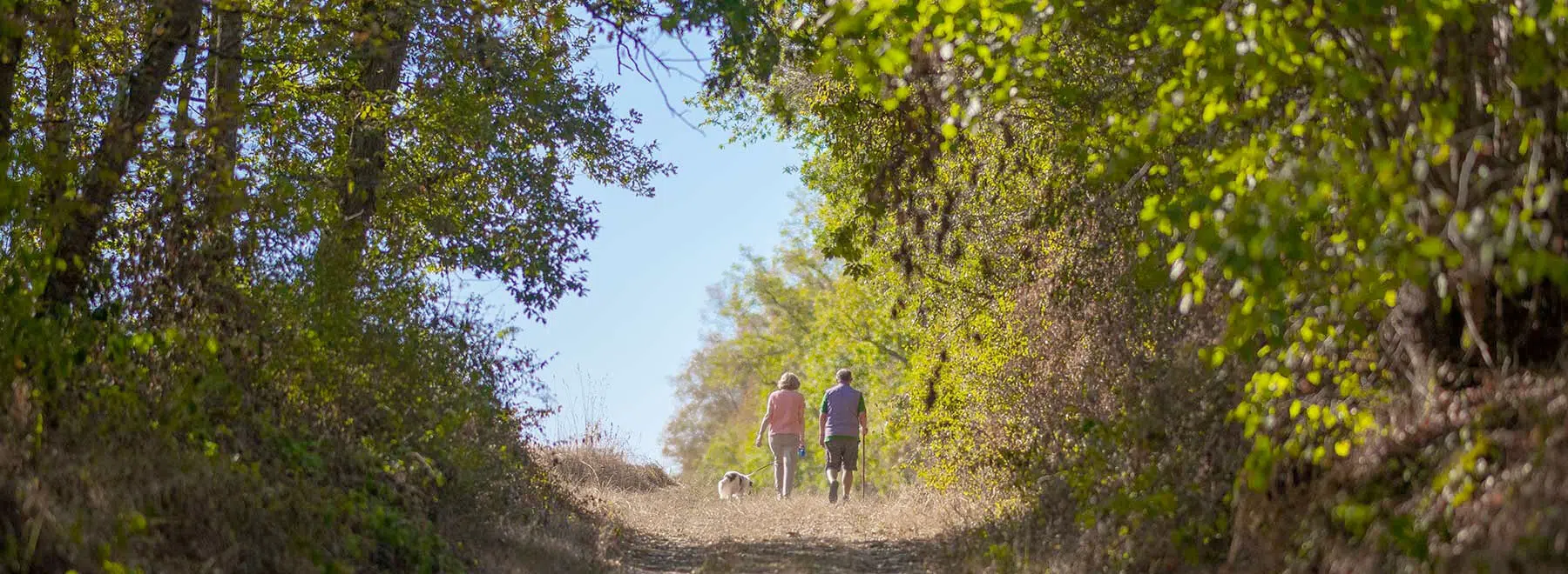 Randonnée à Fontainebleau