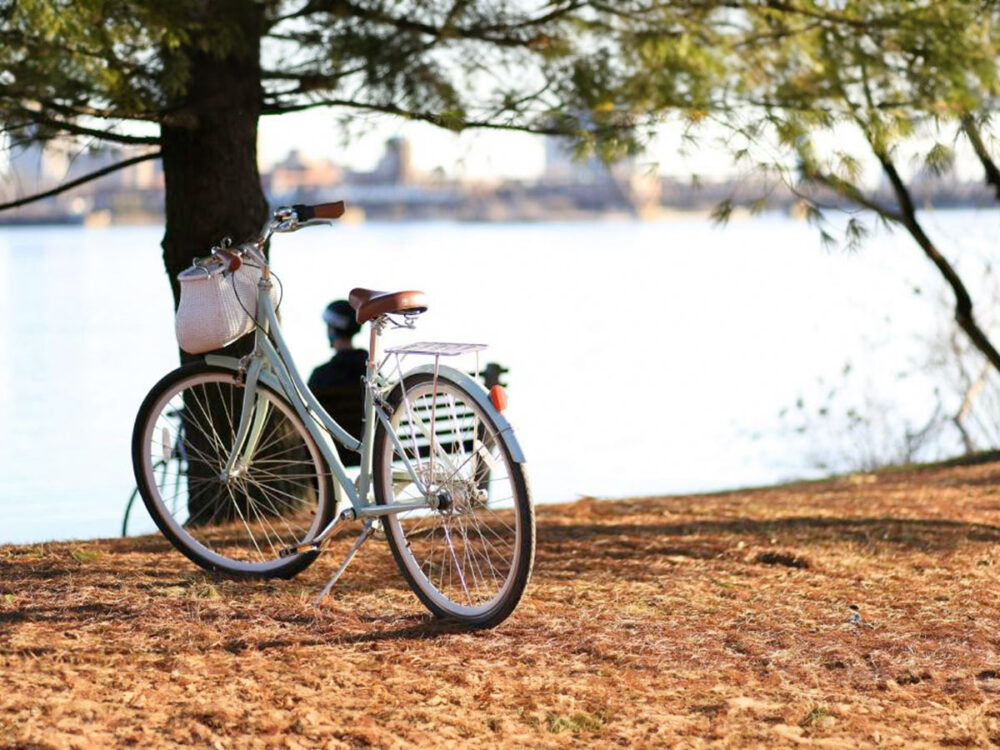scandiberique-camping-seine-et-marne