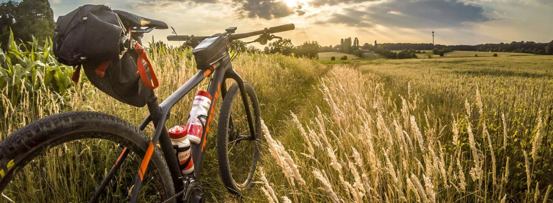 Scandibérique en Seine et Marne