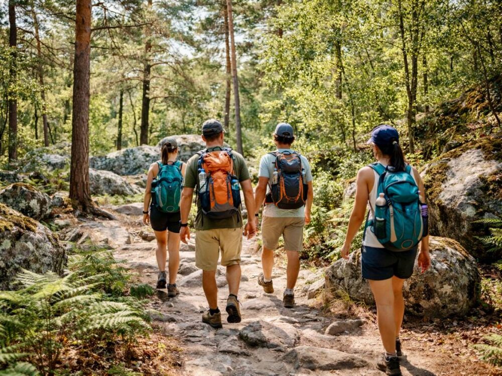 activites-camping-fontainebleau