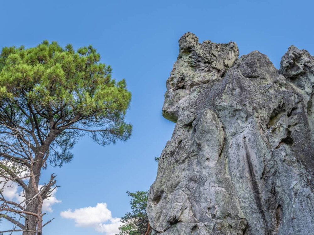 bloc-escalade-fontainebleau